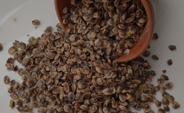 420 тонн жмыха